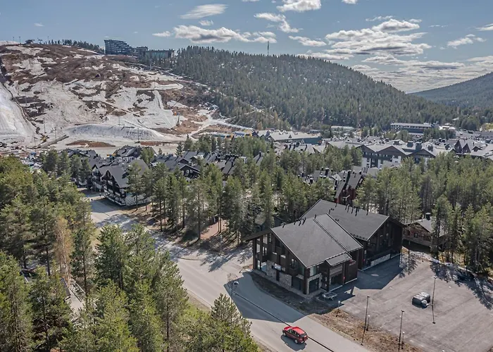 Levillas Platinum 2b2 * Levi